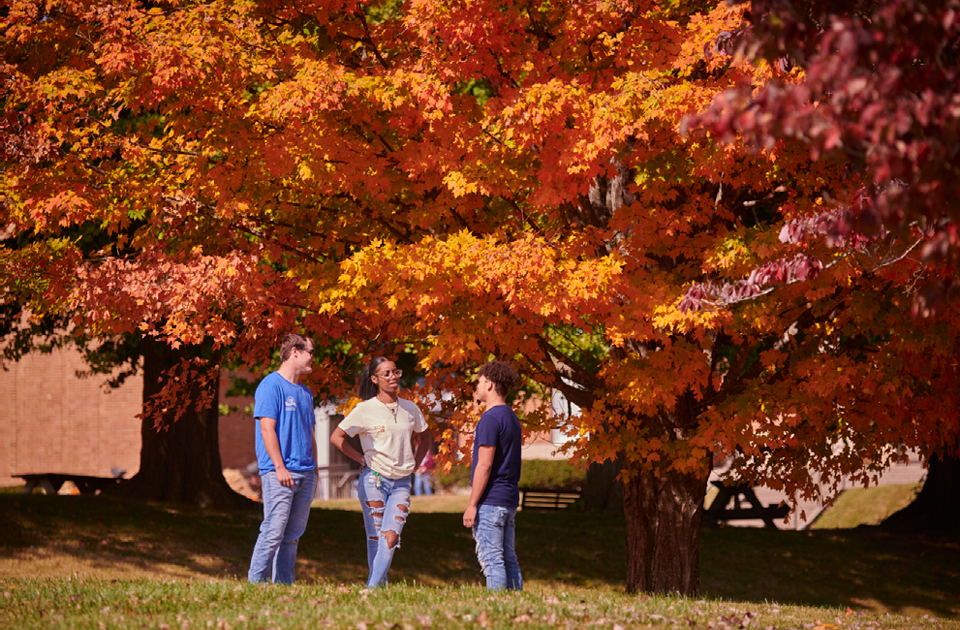 三个学生站在一棵树旁聊天.
